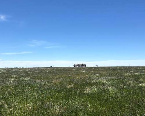 Excelente Campo de 127 Ha Sobre RN 226 Zona Carlos Tejedor