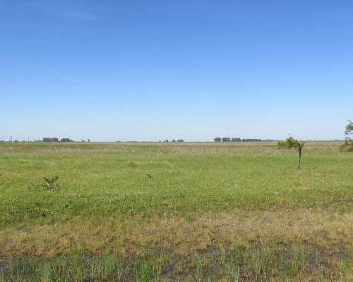 1.144 Has - en Venta - Adolfo Gonzales Chaves - Buenos Aires