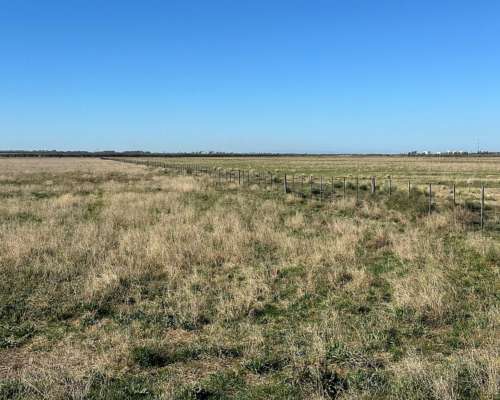 302 Has. Bahia Blanca con Arroyo