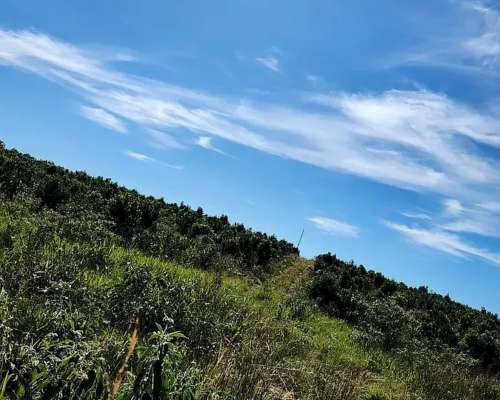 Se Vende Chacra de 48 Ha en Apostoles Misiones. 28 Ha con YE