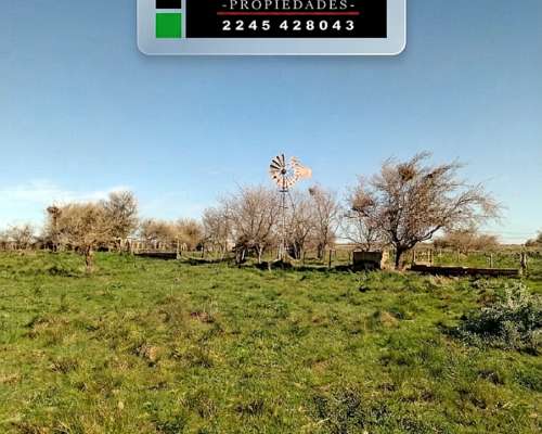 130ha Ganadero Punta Indio