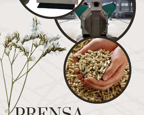 Lineas de Alimentos Balanceados-extruidos- Equipos Indutrial