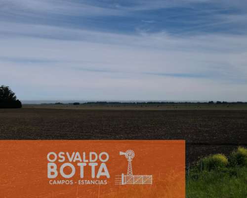 Campo Mixto en Venta 103 Has en Miramar, Buenos Aires