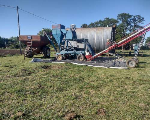 Clasificadora de Cereal Indua año 2021 Completa