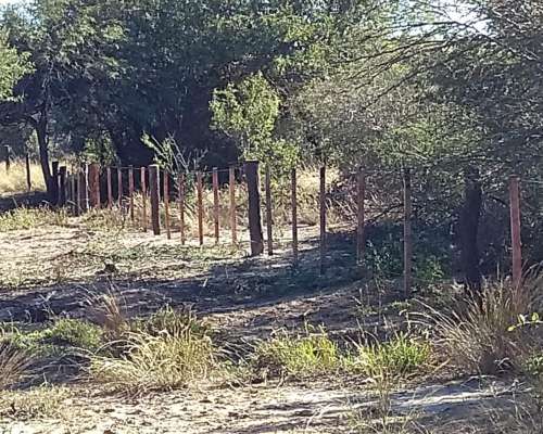 Campo en Loreto Posibilidad de Loteo