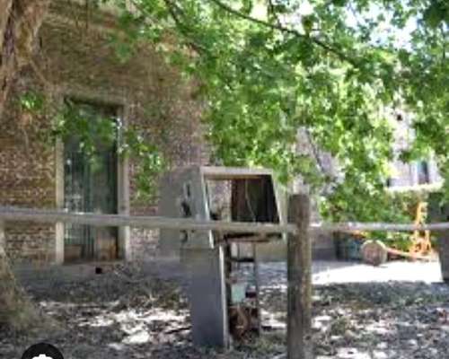 Casa y Boliche en Casalins Pila Providencia de Buenos Aires