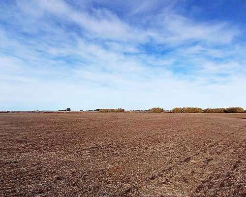 Campo Agrícola-ganadero de 25 Ha en Villa Mugueta