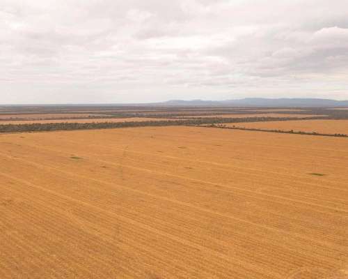 Pcia. de Salta - el Quebrachal 645 Has