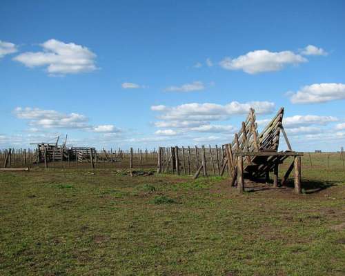Udaquiola - 405 Ha - Buenos Aires
