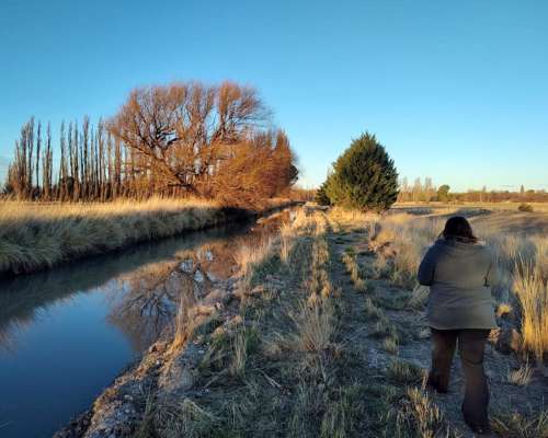 Chacra Zona Gaiman Chubut 36 Ha con Casa