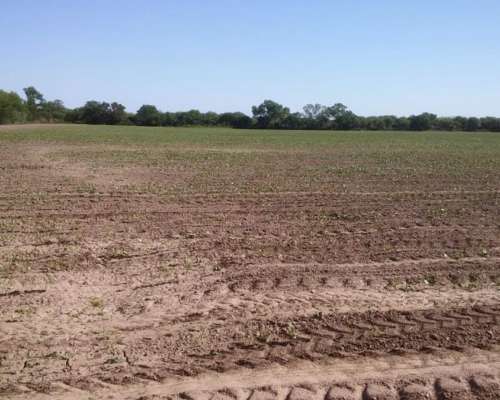 Campo Mixto Agricola - Ganadero - Santiago del Estero 35%off