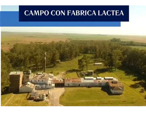 Campo con Fabrica Lactea (germania BS AS)