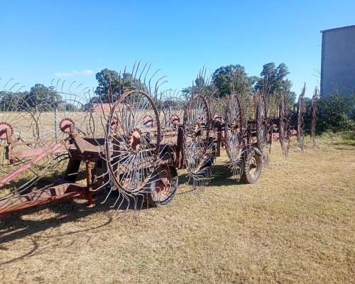 Rastrillo Balina de 14 Estrellas muy Bueno