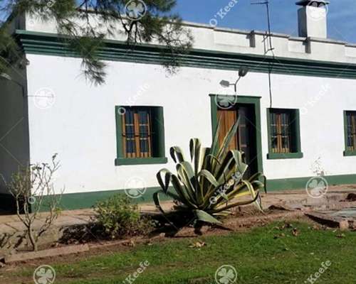 Campo en Venta 1675 Has en Treinta y Tres, Uruguay