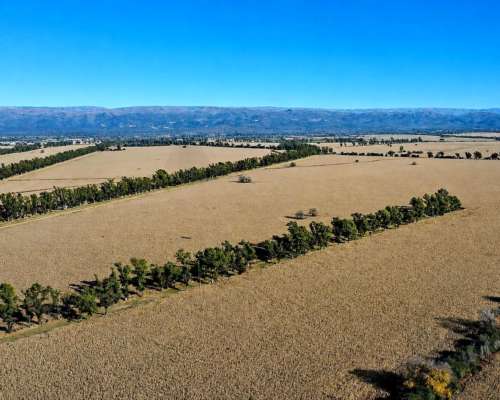 Alta Gracia, Santa María, Córdoba - 823 Ha