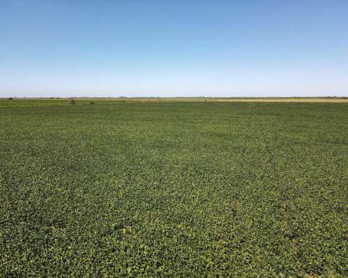 Venta. 174 Has Mixtas en Departamento San Jerónimo.