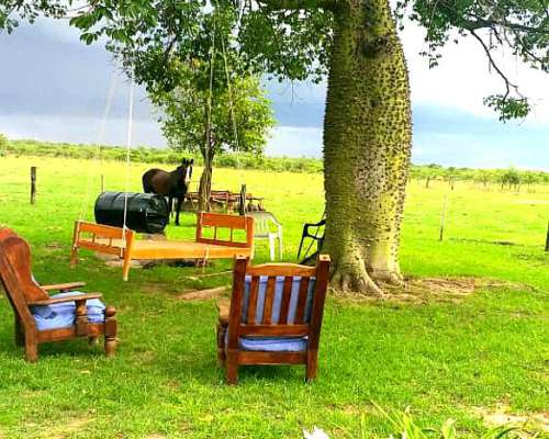 62 Hectáreas Mixtas . Sobre Ruta N463