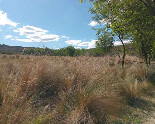 Cerros Largos ( la Carolina ) 154 Has