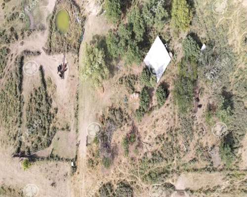 Campo en Venta 168 Has en Lobos . muy Buen Acceso