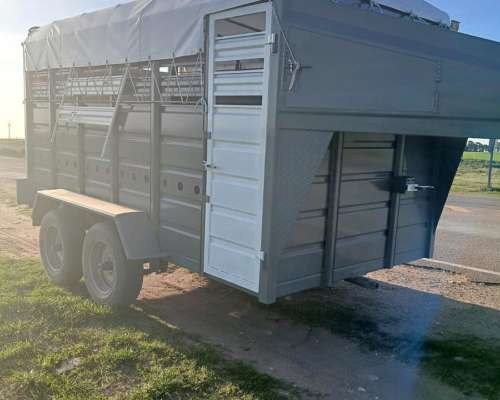 Acoplado 2X4 con Puerta Escape