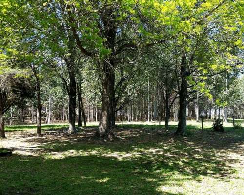 Campo Mixto en Concordia