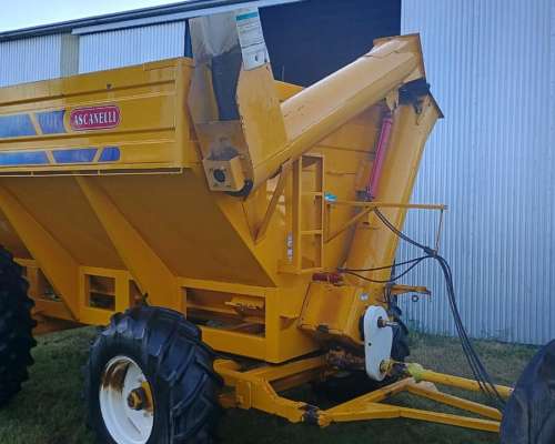 Ascanelli de 17 Toneladas con Lona