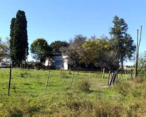 Campo 74 Ha – Pilar, Santa FE – Apto Tambo y Ganadería