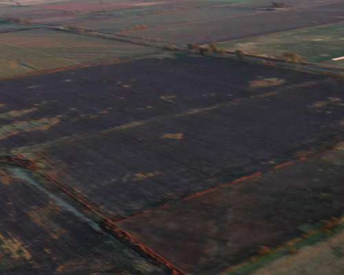 La Pampa Realicó Gran Campo