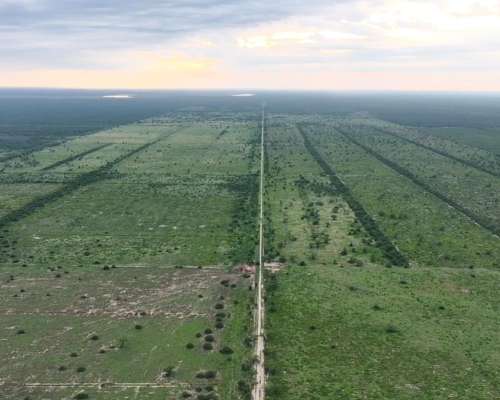 Santiago del Estero Gran Campo Ganadero 4.300 Has