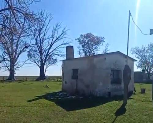 Campo Ganadero 1010 Hectareas