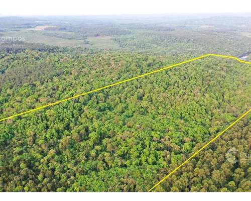 Chacra de 53ha en Venta en Puerto Piray, Misiones