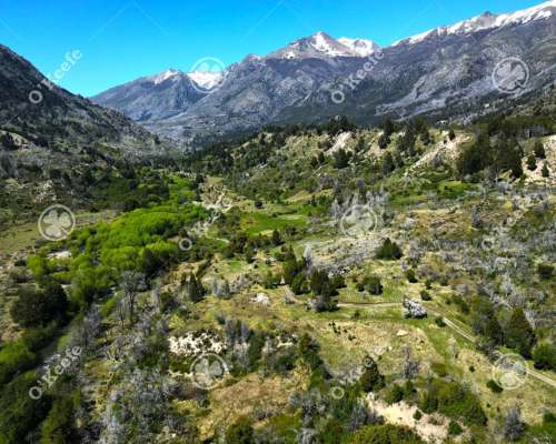 Campo en Venta 300 Has Cuesta del Ternero, Rio Negro.