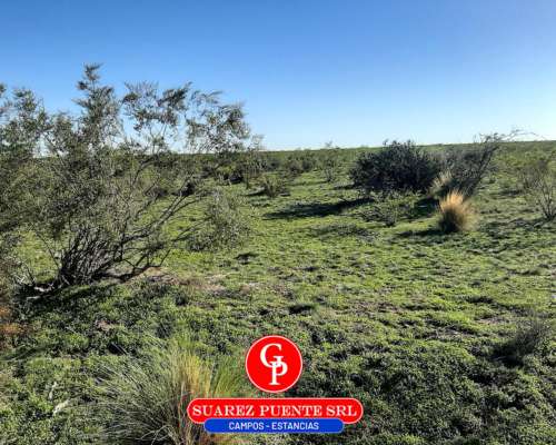 En Venta 3.500 Has Cuchillo CÓ la Pampa.-