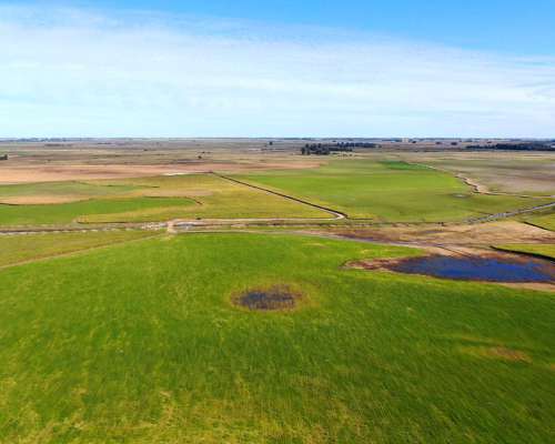 1.050 Has - Veinticinco de Mayo - BS. AS. - Mixto - Venta