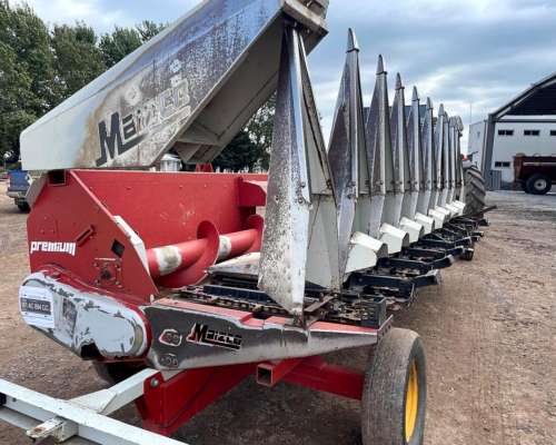 Maicero Maizco - año 2009