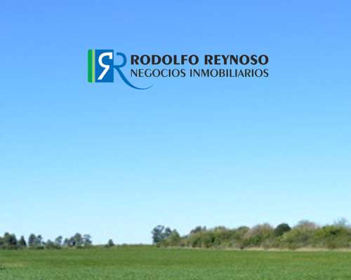 50 HA. en Colonia Elía (entre Ríos)