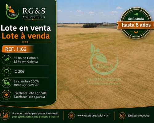 Uruguay - Campos Agricolas