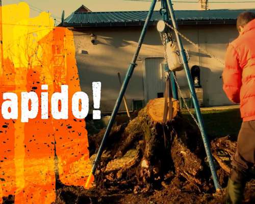 Destoconador Manual. Alquiler. Saca Tocones Troncos y Raices