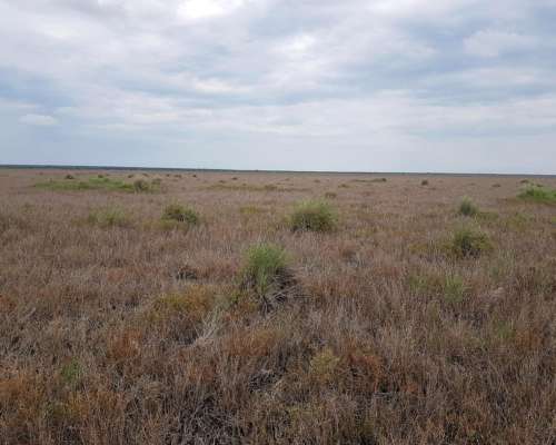 2900 Ha al SUR de Gancedo Ganadero para Venta