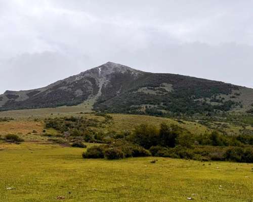 Se Buscan Granjas en la Patagonia