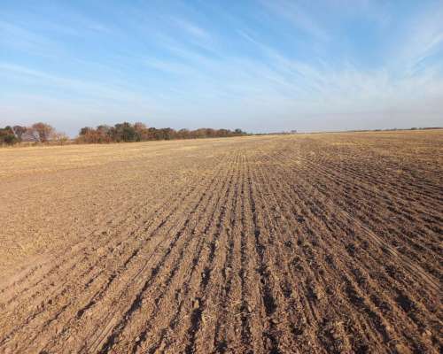Oportunidad de Inversion. Campo Agricola