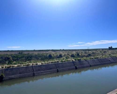 Campo en Venta con Canales de Riego.
