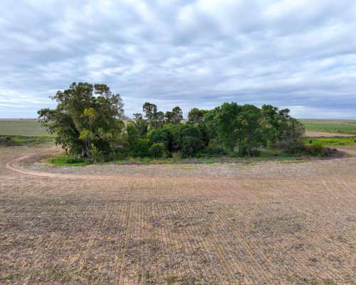 Pcia. de Cordoba - Sampacho 601 Has