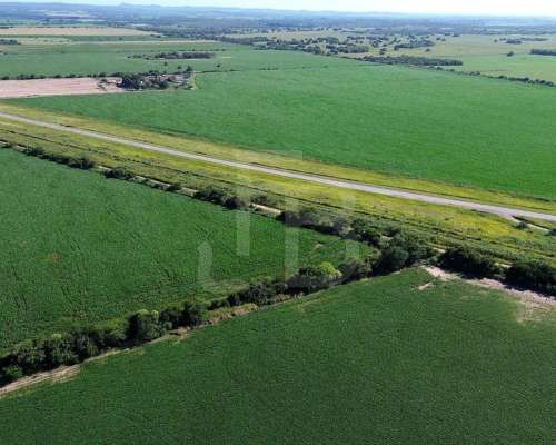 Campo Agrícola de 118 Ha en Sarmiento, Córdoba