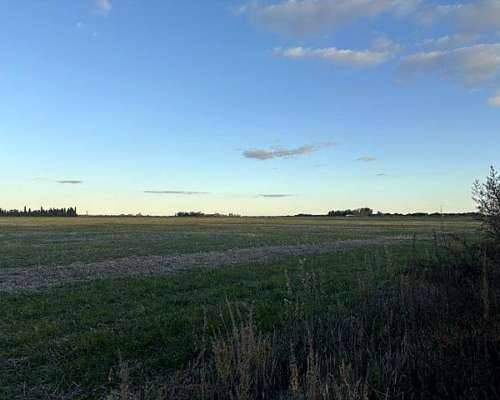Campo de 20 Has Agrícolas en San Pedro, Asfalto y Luz.