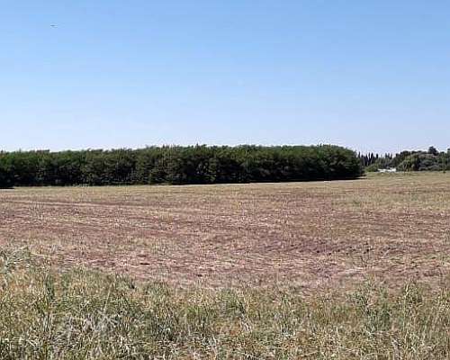 Vendo Predio de 9ha en Vedia