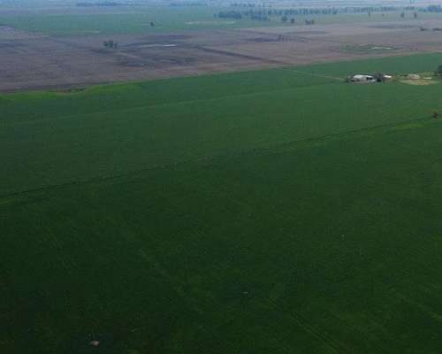 🌾 Campo en Venta – 32 Hectáreas Videla, San Justo, Santa
