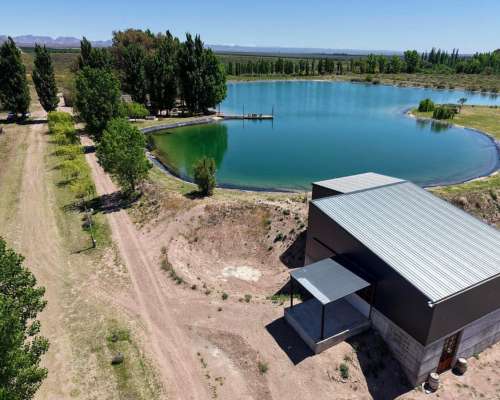 Cuadro Benegas, San Rafael, Mendoza - 97 Ha