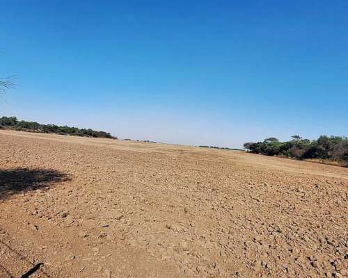 202 Hectáreas Campo Agricola