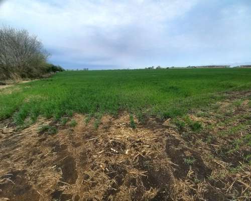 48 Hectareas Campo Agricola